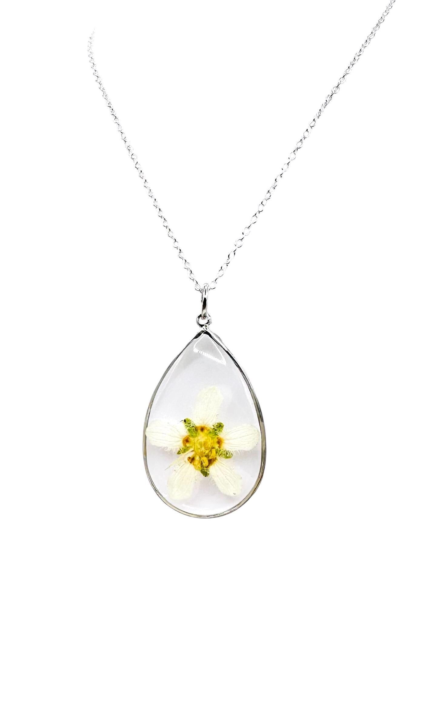 Rare Montana Wildflower Necklace: Pressed Parnassus Fimbriata, Silver Chain