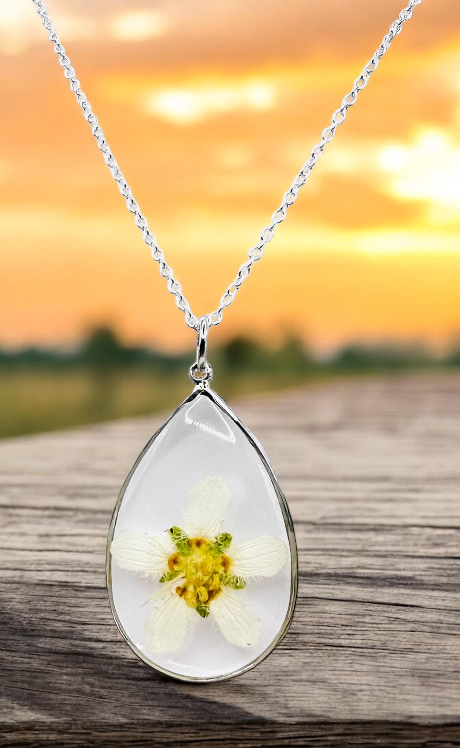 Rare Montana Wildflower Necklace: Pressed Parnassus Fimbriata, Silver Chain